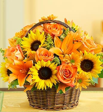 Basket Full of Fields of Europe