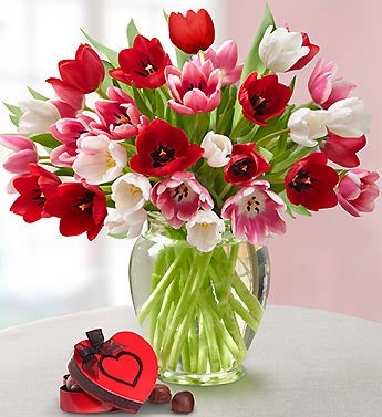 Valentine's Day Tulips Gift Set