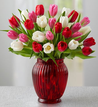 Sweetest Love Tulips + Free Red Vase