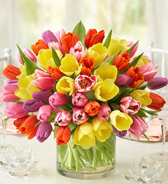 Grand Radiant Tulip Bouquet, 60 Stems