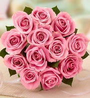 Rose of the Month