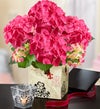 Chic Pink Hydrangea