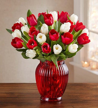 Jolly Holiday Tulips, 15-30 Stems