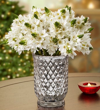 Winter Star Bouquet