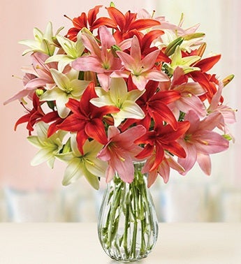 Assorted Lilies