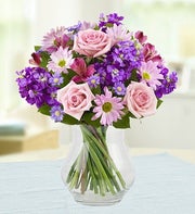 Lavender Dreams?