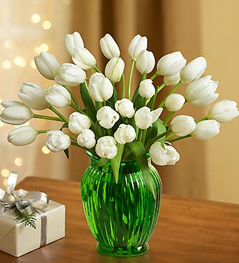 Winter Snowflake Tulips, 30-60 Stems