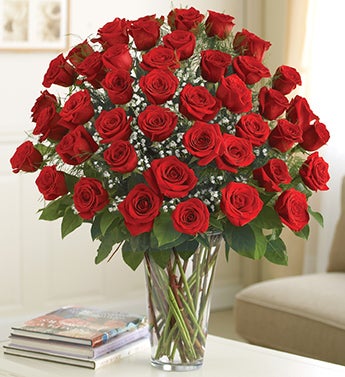 Ultimate Elegance Premium Long Stem Red Roses