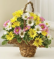 Pastel Daisy Basket