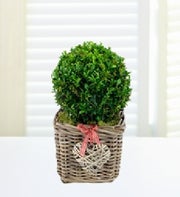 Topiary Ball