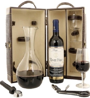 Wine and Decanter Travel Case