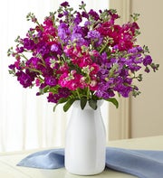 Gardens of Provence Medley