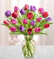 Tulips for Your Valentine