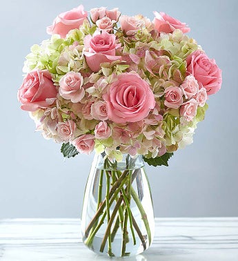 Premium Handtied Rose and Hydrangea Bouquet from 1800FLOWERS.COM