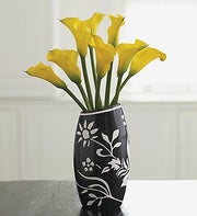 Save $10 On Pure Sophistication $59.99 SALE $49.99 Coupon