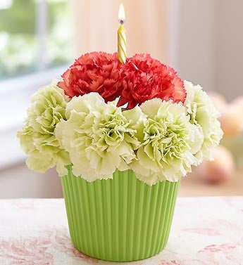 Cupcake in Bloom Green and Orange