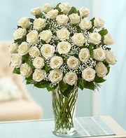 Sympathy Roses