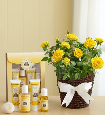 Burt's Bees Baby Bee Gift Set