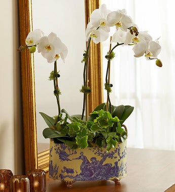 English Orchid Garden
