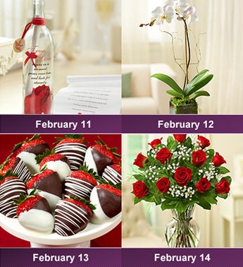 Four Days of Love