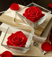 Infinite Rose Bloom Red