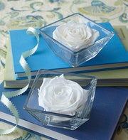 Infinite Rose Bloom White