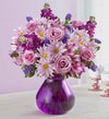 Lavender Dreams?