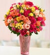 Spring Spray Roses, 50-100 Blooms