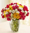 Spray roses 50-100 blooms + Free Vase