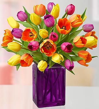 Spectacular Spring Tulips, 30 for $30