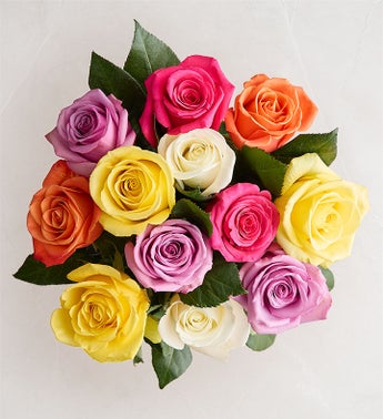 September's Rose