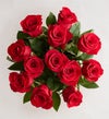 February's Rose