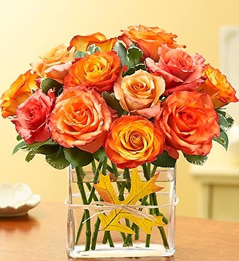 Modern%20Roses%20-%20One%20Dozen%20Orange