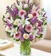 Ultimate Elegance? - Lavender and White