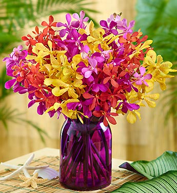 Tropical Mokara Orchid Bouquet