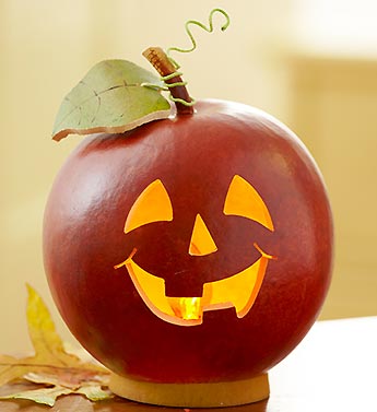 Jack O' Lantern Gourd