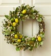 Citrus Delight Preserved Wreath