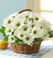International Canada - White Daisy Basket