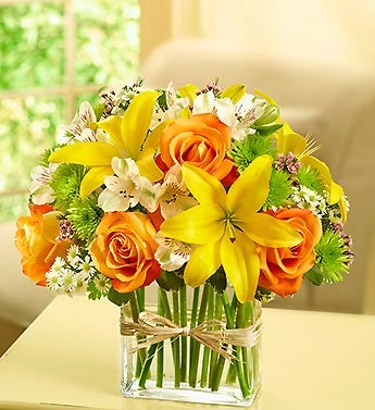 Fields of Europe in Rectangle Vase