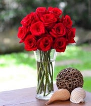 One Dozen Red Roses