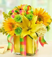 All Wrapped Up? - Yellow