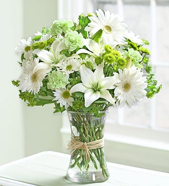 Serene Green