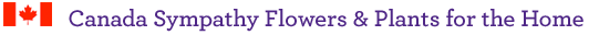 Canada Sympathy Flowers and Plants for the Home