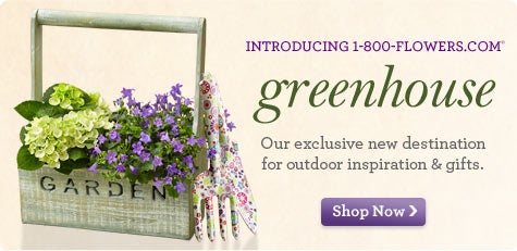 Greenhouse