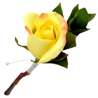 Bold & Beautiful - Boutonnieres