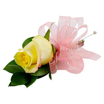 Bold & Beautiful - Corsages