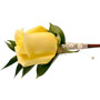 Groom's Boutonniere
