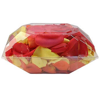 Bold & Beautiful - Rose Petals