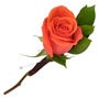 Boutonnieres - 3