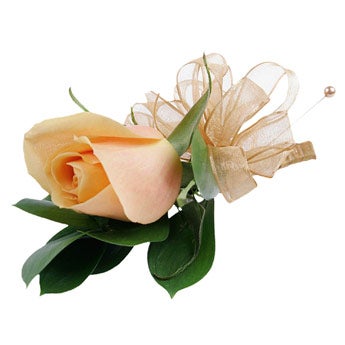 Earth's Riches - Corsages